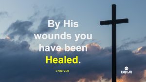 Read more about the article In Need of A Touch!